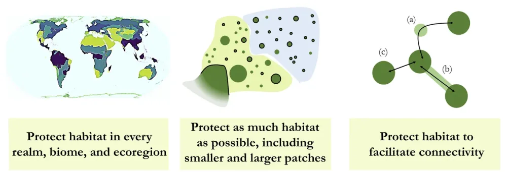 Principles for area-based biodiversity conservation