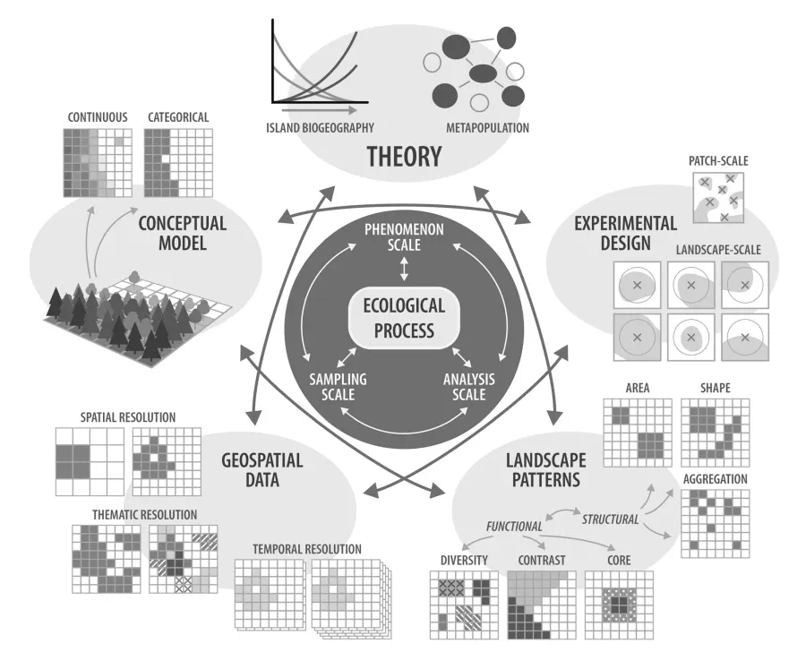 Theoretical frameworks in landscape ecology