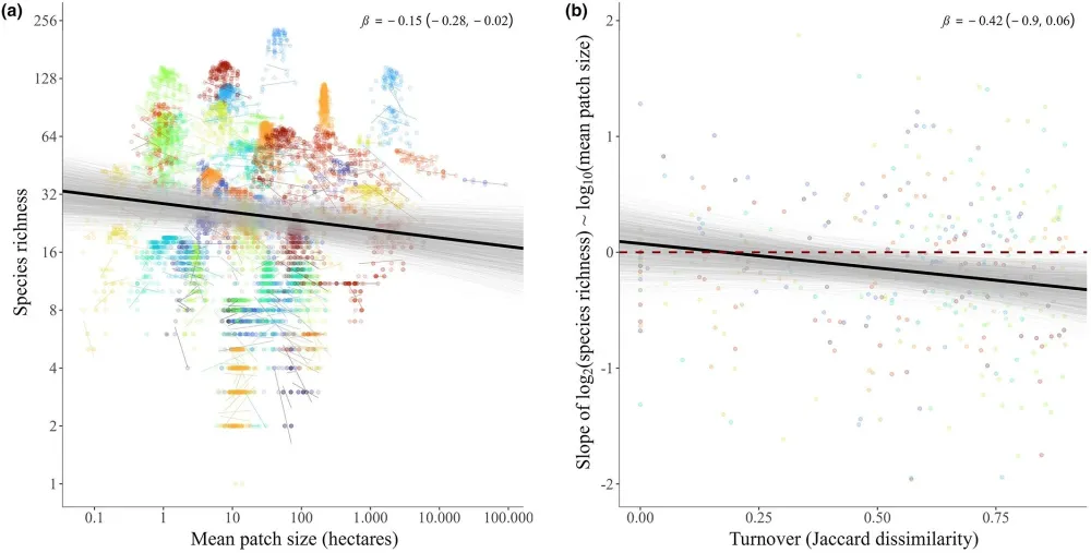 Biodiversity estimates in fragmented landscapes